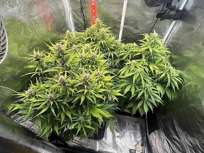 Growreport Bild 10