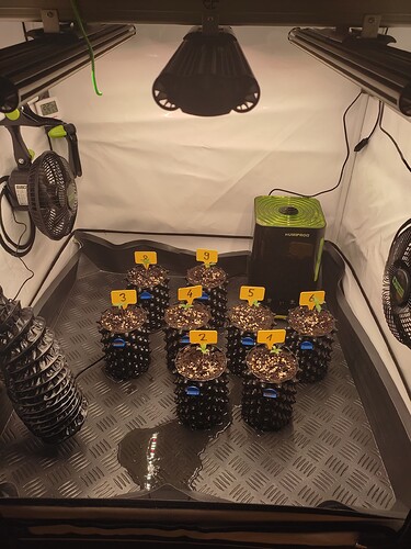 Growreport Bild 3