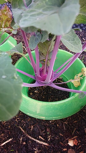 Growreport Bild 12