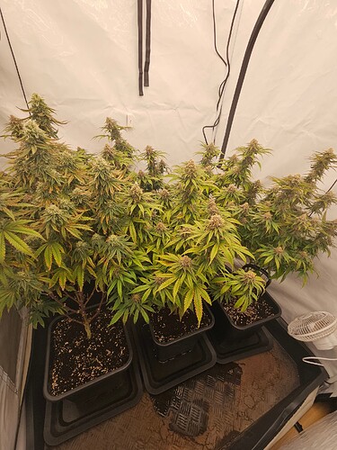 Growreport Bild 18