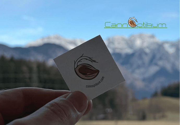 Arbeitsalltag bei Cannoptikum – Blick aus dem Bürofenster