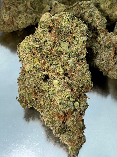 Growreport Bild 75