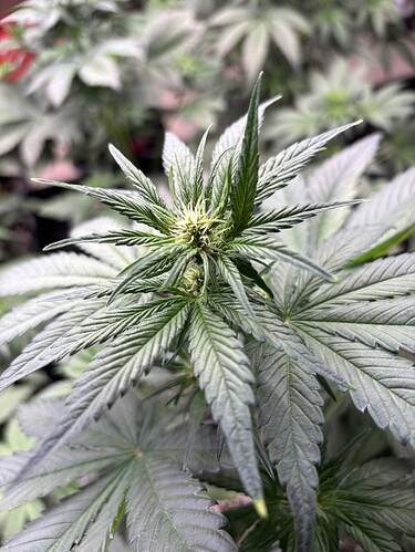 Growreport Bild 7