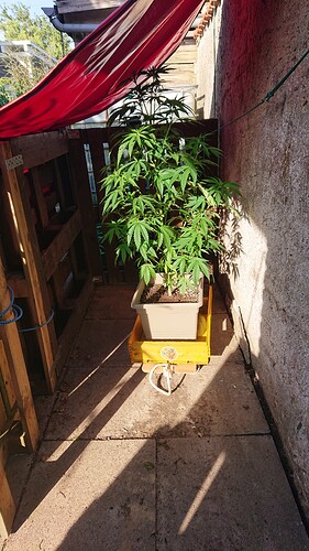 Growreport Bild 11