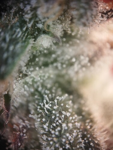 Growreport Bild 21
