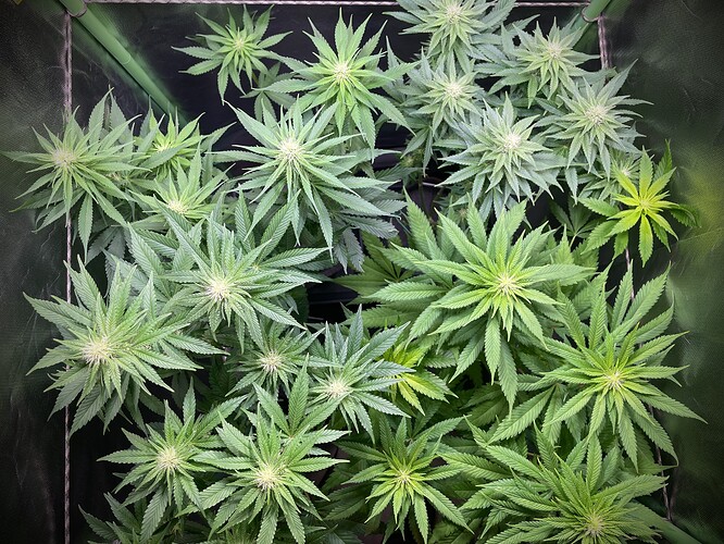 Growreport Bild 10