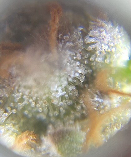 Growreport Bild 15