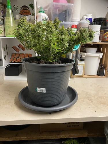 Growreport Bild 21