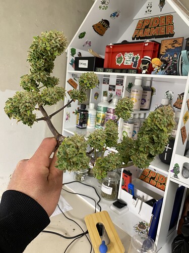 Growreport Bild 1