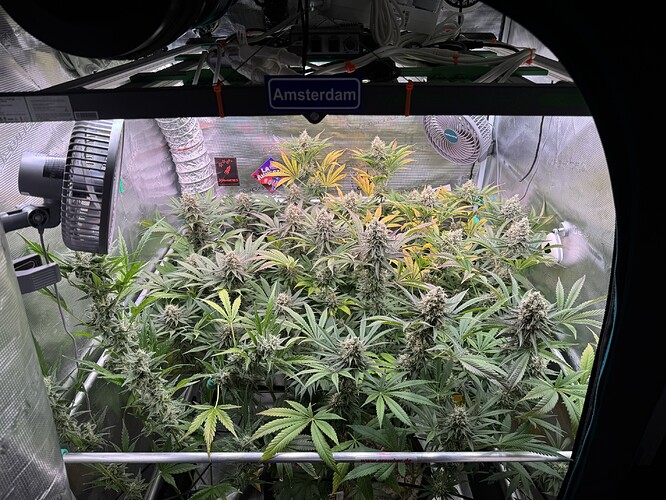 Growreport Bild 17