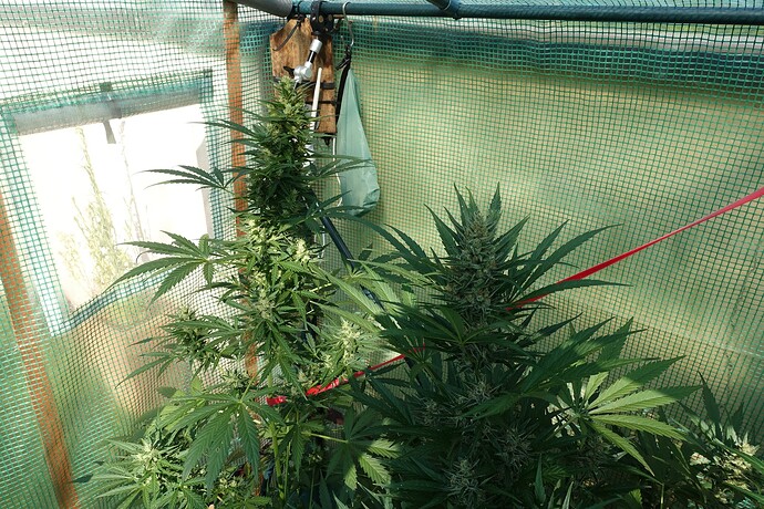 Growreport Bild 3