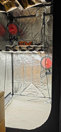 Growreport Bild 17