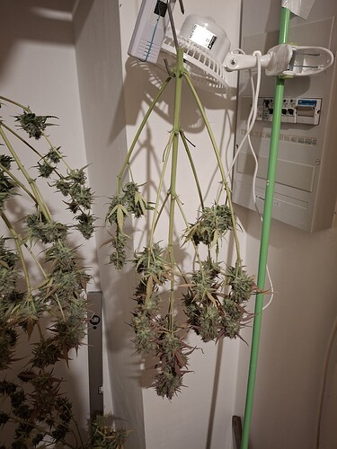 Growreport Bild 13
