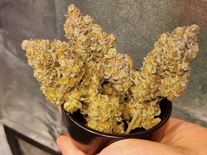 Growreport Bild 20