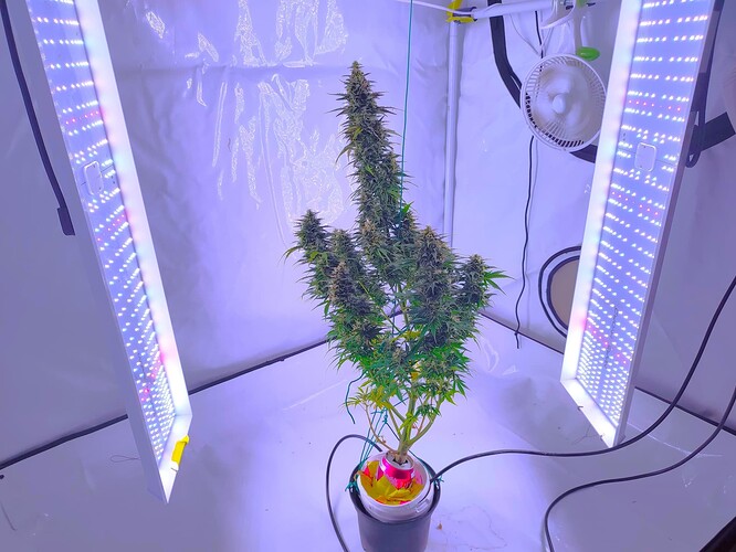 Growreport Bild 5