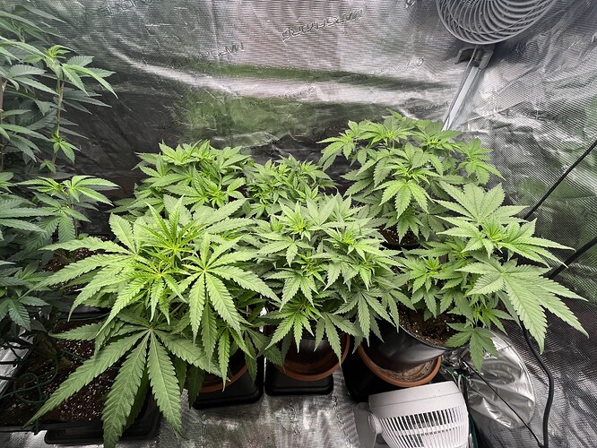Growreport Bild 50