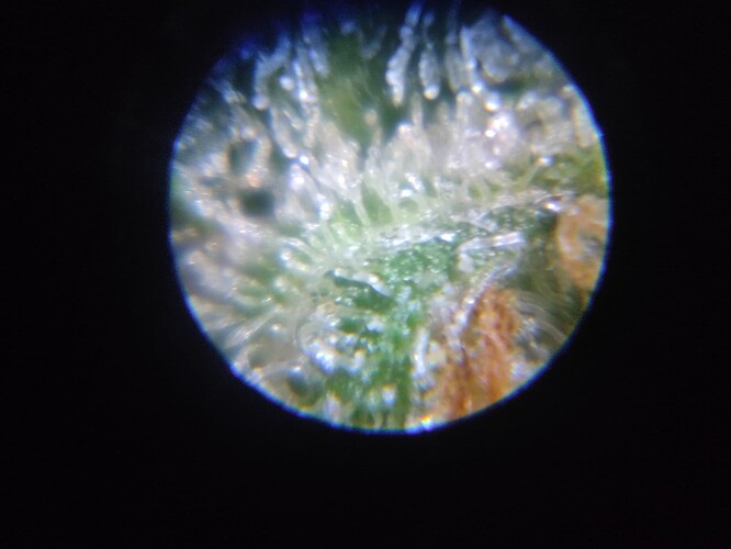 Growreport Bild 6