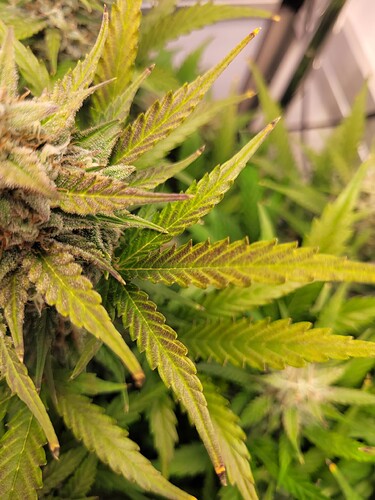 Growreport Bild 10