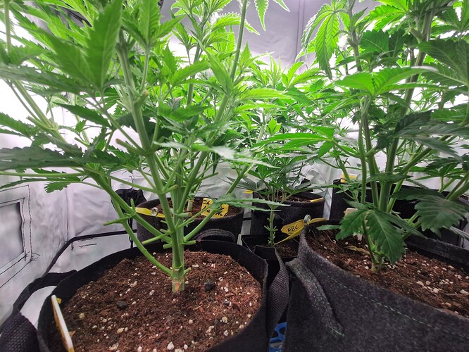 Growreport Bild 14