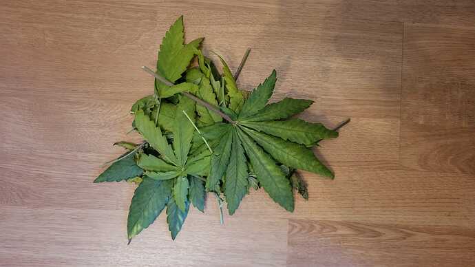 Growreport Bild 12