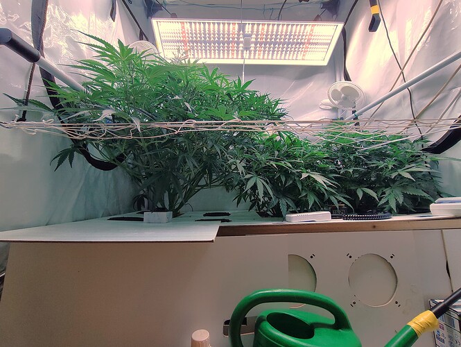Growreport Bild 9