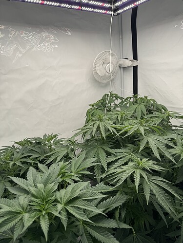 Growreport Bild 2