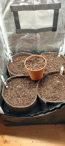 Growreport Bild 1