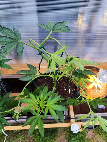 Growreport Bild 2