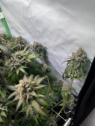 Growreport Bild 22