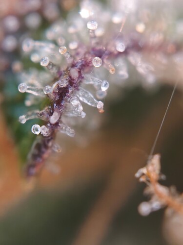 MVIMG_20251126_181624