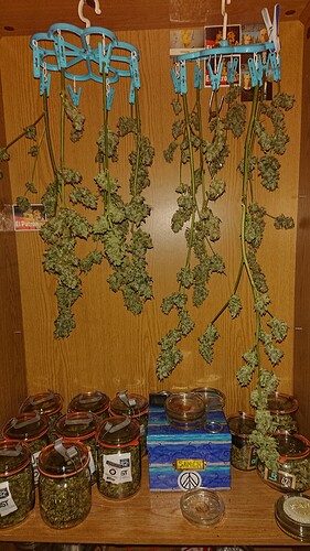 Growreport Bild 6
