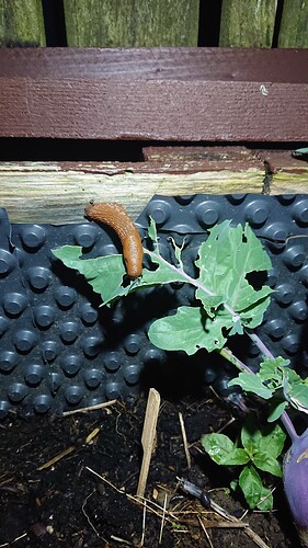 Growreport Bild 16