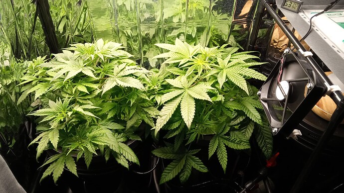 Growreport Bild 7