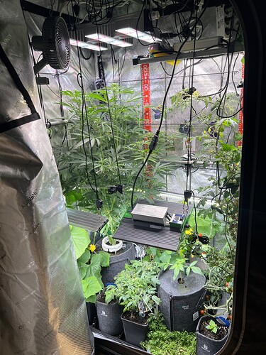 Growreport Bild 8