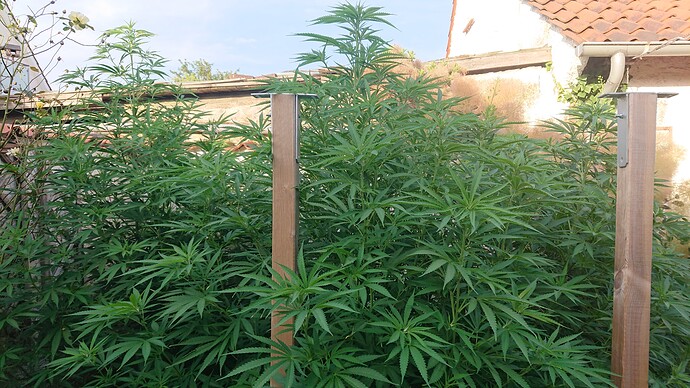 Growreport Bild 18