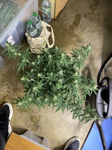Growreport Bild 46