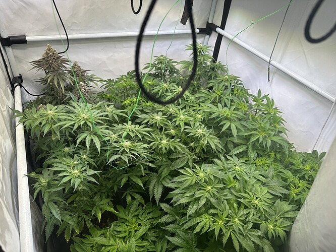 Growreport Bild 4