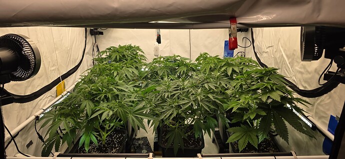 Growreport Bild 80