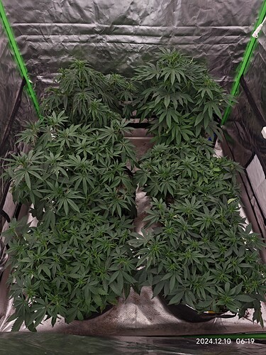 Growreport Bild 2