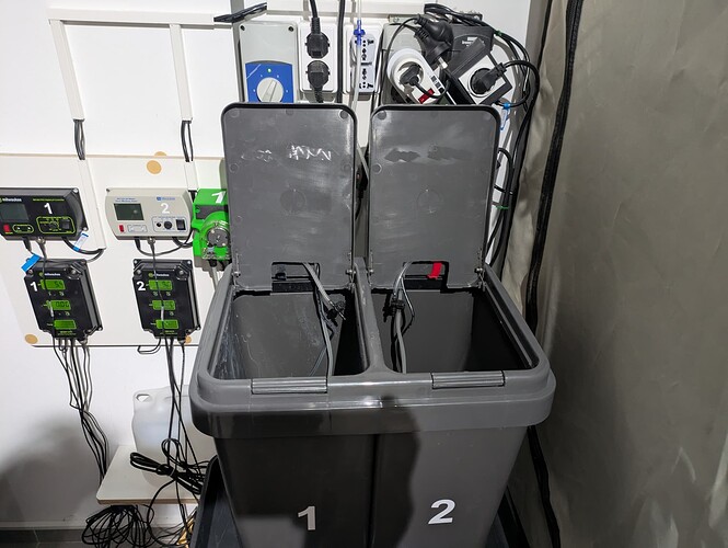 PXL_20250119_132224929