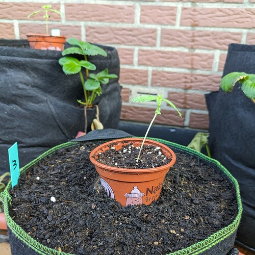 PXL_20240520_060105197