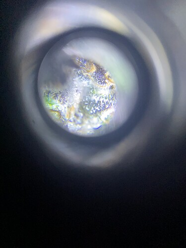 Growreport Bild 60