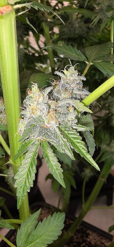 Growreport Bild 10