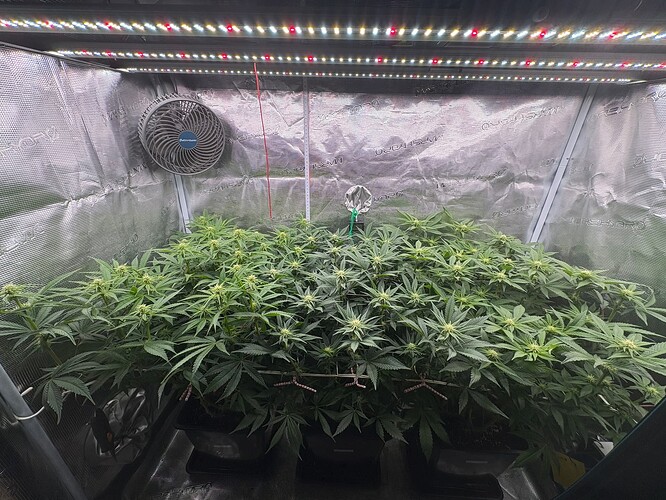 Foto 05.01.26, 07 01 13