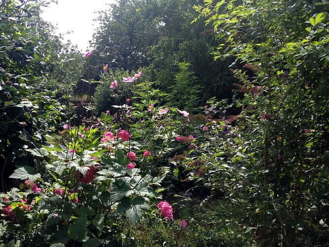 Growreport Bild 21