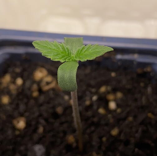 Growreport Bild 13