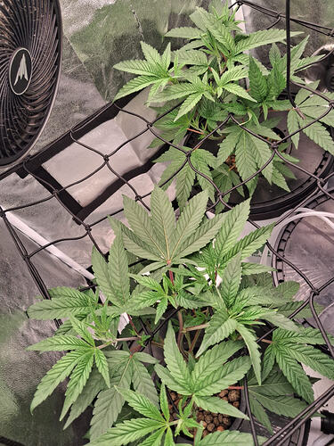 WhatsApp Image 2026-02-02 at 10.58.48 (1)