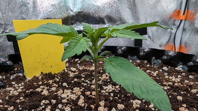 PXL_20240708_152849878.MP