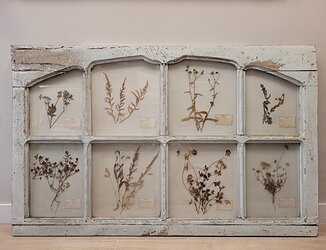 provenzalische-herbarium-tuer-18-jh-frankreich-3