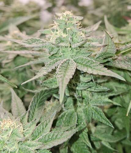 475763986_122167309940293599_8144622732715391694_n